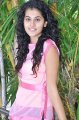 Taapsee Pannu Cute Stills