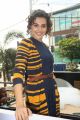 Taapsee Pannu New Pics @ UCB Fall-Winter Collection Launch