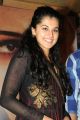 Sahasam Heroine Taapsee at Movie's Success Meet