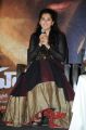 Tapasee Pannu Beautiful Photos @ Sahasam Success Meet