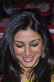 Beautiful Tabu Cute Stills