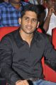 Actor Naga Chaitanya at Tadakha Movie Audio Launch Stills