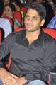 Actor Naga Chaitanya at Tadakha Movie Audio Launch Stills