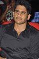 Actor Naga Chaitanya at Tadakha Movie Audio Launch Stills