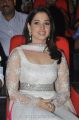 Actress Tamanna at Thadaka Movie Audio Launch Stills