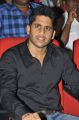 Naga Chaitanya at Thadaka Movie Audio Launch Stills