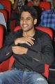 Naga Chaitanya at Thadaka Movie Audio Launch Stills