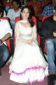 Actress Tamanna at Thadaka Movie Audio Launch Stills