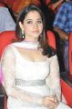 Actress Tamanna at Thadaka Movie Audio Launch Stills