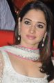 Actress Tamanna at Thadaka Movie Audio Launch Stills