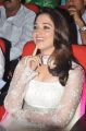 Actress Tamanna at Thadaka Movie Audio Launch Stills