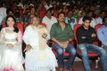 Tadakha Movie Audio Launch Pictures