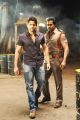 Naga Chaitanya, Sunil in Tadakha Movie Photos