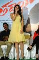 Actress Andrea Jeremiah at Tadakha Movie Press Meet Stills