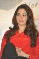 Actress Tamanna at Tadakha Movie Press Meet Stills