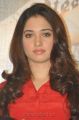 Actress Tamanna at Tadakha Movie Press Meet Stills