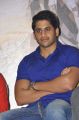 Naga Chaitanya at Tadakha Movie Press Meet Stills