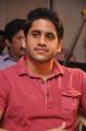 Naga Chaitanya At Tadakha Movie Success Meet Stills