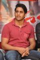 Naga Chaitanya At Tadakha Movie Success Meet Stills