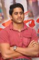 Naga Chaitanya At Tadakha Movie Success Meet Stills