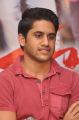 Naga Chaitanya At Tadakha Movie Success Meet Stills