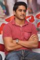 Naga Chaitanya At Tadakha Movie Success Meet Stills