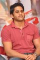 Naga Chaitanya At Tadakha Movie Success Meet Stills