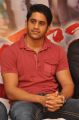 Naga Chaitanya At Tadakha Movie Success Meet Stills