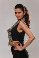 Actress Meenakshi Dixit in Takkar Tamil Movie Stills