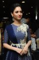 Beautiful Tamannaah at Alludu Seenu Platinum Disc Celebrations