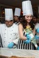 Telugu Actress Tamanna Latest Cute Pics at Cake Mixing