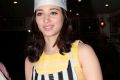 Actress Tamanna Pics at Cake Mixing in Taj Banjara, Hyderabad