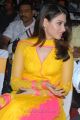 Actress Tamanna Cute Pictures at Mr Pellikoduku Audio Launch