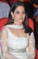 Actress Tamanna in White Churidar Photos at Thadaka Audio Release