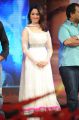 Actress Tamanna in White Churidar Photos at Thadaka Audio Launch