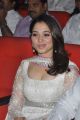 Actress Tamanna Hot Photos at Thadaka Audio Release