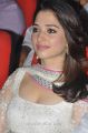 Actress Tamannaah Photos at Thadaka Movie Audio Launch