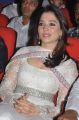 Actress Tamannaah Photos at Tadakha Movie Audio Launch