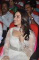 Actress Tamanna Photos at Thadaka Movie Audio Release