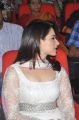 Actress Tamannaah Photos at Thadaka Movie Audio Launch