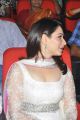 Actress Tamannaah Photos at Thadaka Movie Audio Release