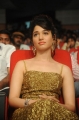 Tamanna Latest Photos at Badrinath Movie Audio Launch