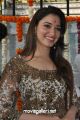 Actress Tamanna Photos @ Bengal Tiger Movie Launch