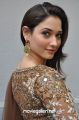 Actress Tamannaah Photos @ Bengal Tiger Movie Launch