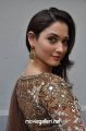 Actress Tamannaah Photos @ Bengal Tiger Movie Launch