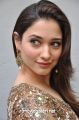 Actress Tamanna Photos @ Bengal Tiger Movie Launch
