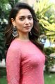 Actress Tamanna Beautiful Photos @ Petromax Movie Press Meet