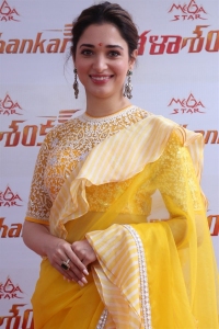 Actress Tamannaah Saree Photos @ Bhola Shankar Movie Opening