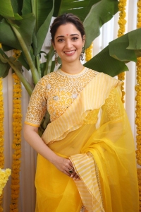 Actress Tamanna Saree Photos @ Bhola Shankar Movie Launch