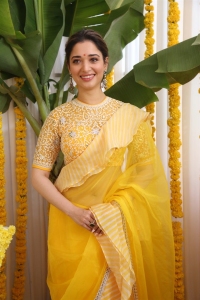 Actress Tamanna Saree Photos @ Bhola Shankar Movie Opening